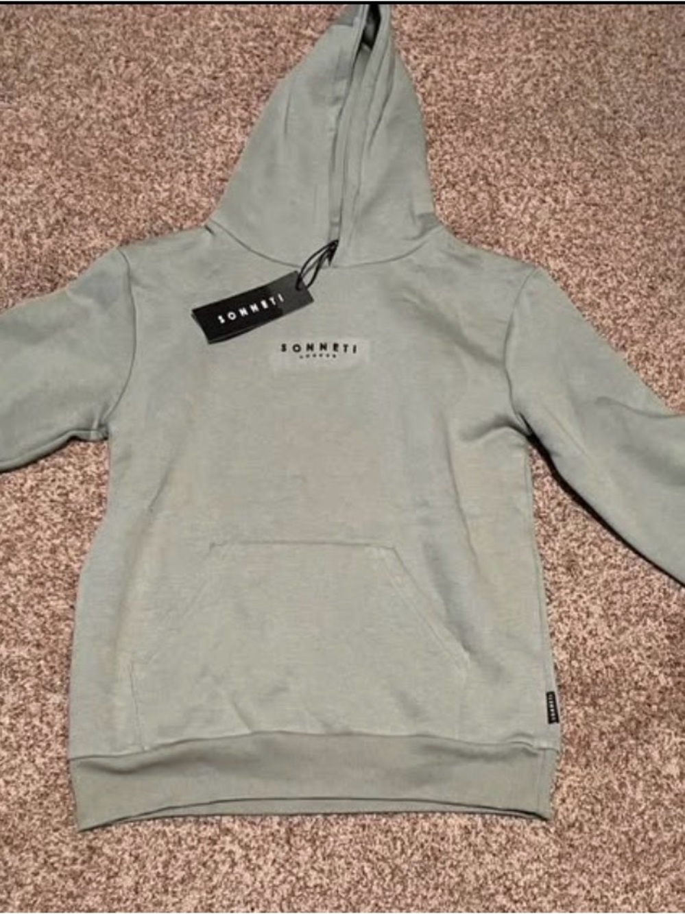 Sonneti Sage Green Hoodie